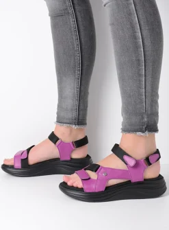 Wolky Cirro - fuchsia leer<DAMES Sandalen