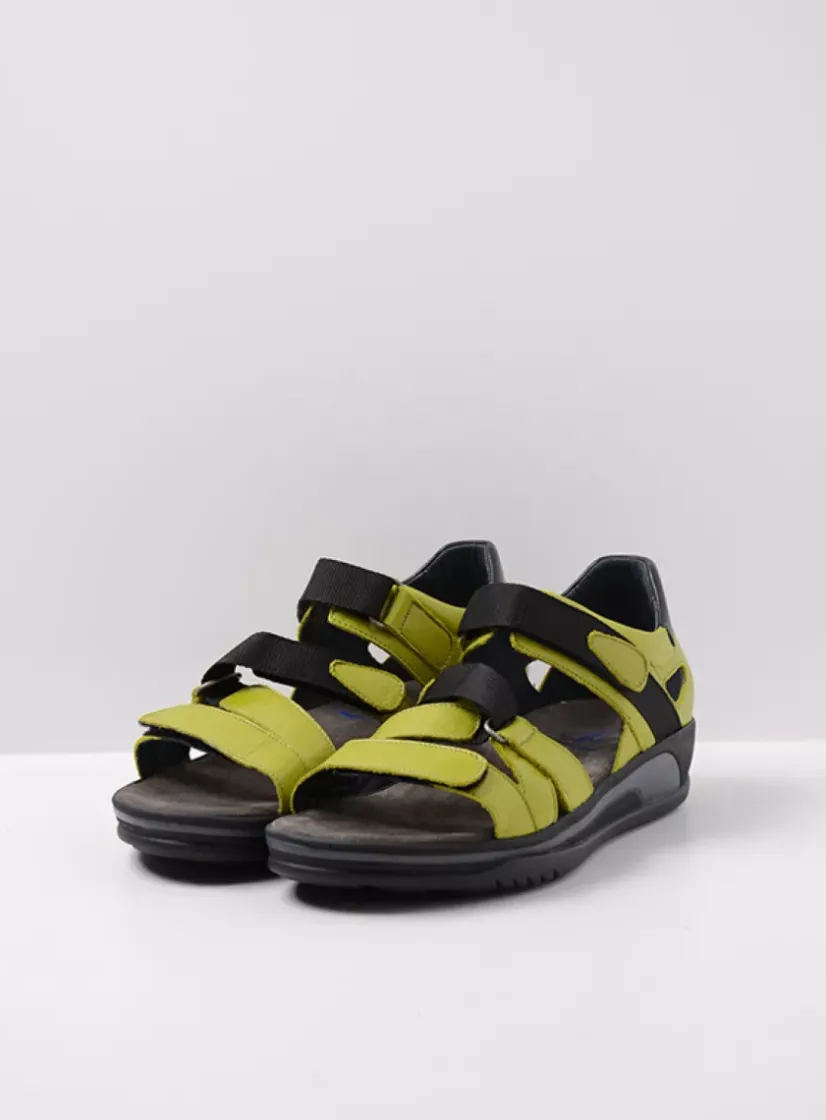 Wolky Desh - olijfgroen leer<DAMES Sandalen