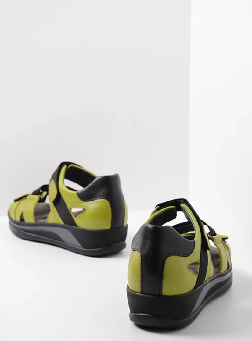 Wolky Desh - olijfgroen leer<DAMES Sandalen