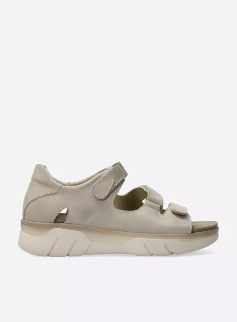 Wolky Rapid - nubuck safari<DAMES Sneakers